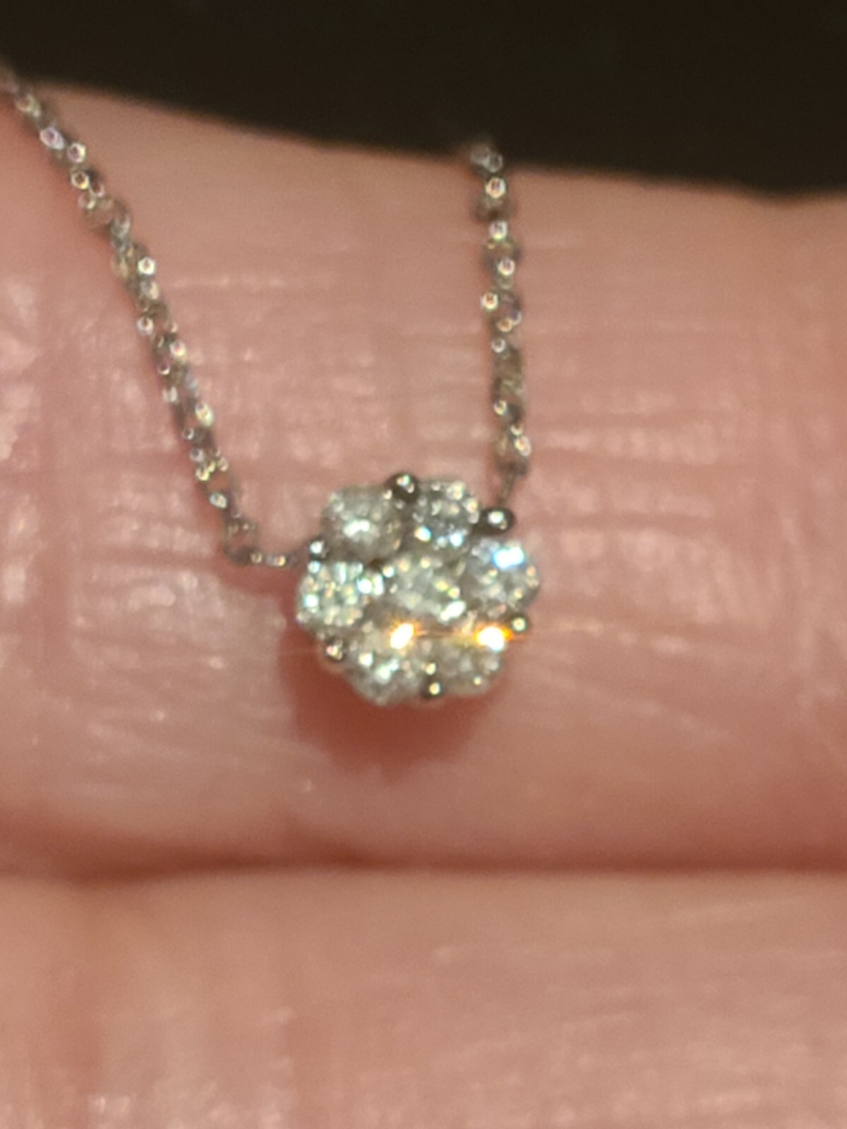 Picture 2 of 22