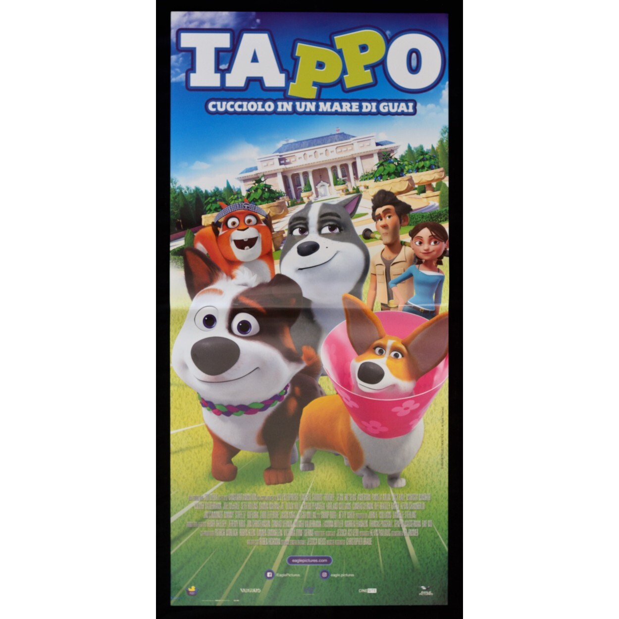 Locandina di Tappo - Cucciolo in un mare di guai (2019)