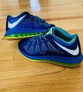 lebron 10 low shoes