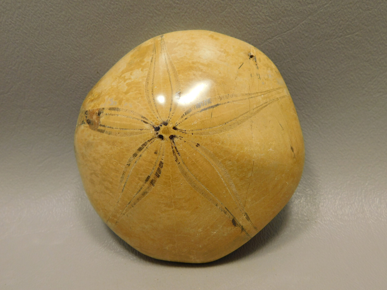 Picture 1 of 7