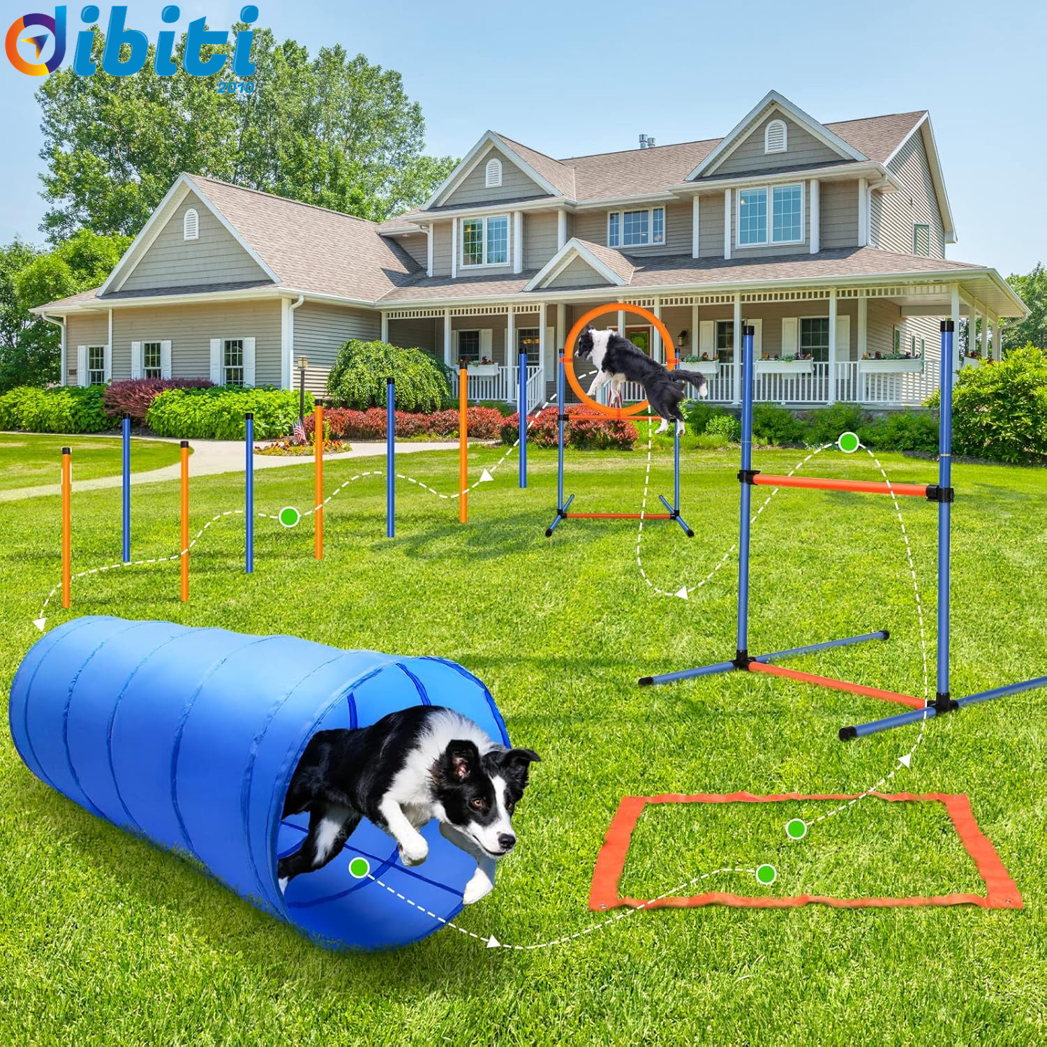 Set Agility Dog Deluxe 60 Pezzi: Percorso Ostacoli Qualità Top - 2