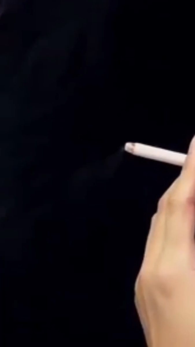 artificial smoke cigarette 48 Pack Realistic Blow Smoke Fake Puff Cigarettes for Halloween Prank Toys  Props