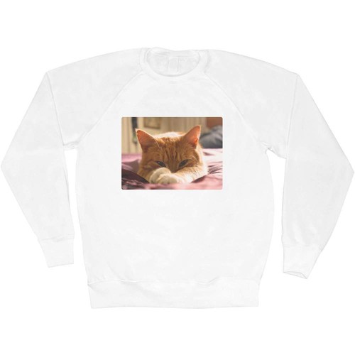 'Ginger Tom Cat' Adult Sweatshirt / Sweater / Jumper (SW114374) eBay