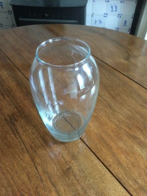 Plain Glass Vase Ebay