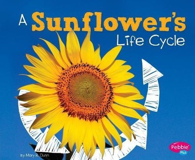 Mary R. Dunn A Sunflower's Life Cycle (Gebundene Ausgabe) (US IMPORT)