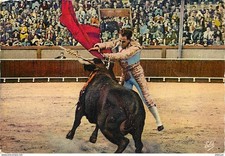 Postcard - Corrida - Rafael Ortega receives a tip shot in the right groin