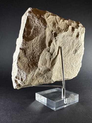 ANCIENT NEAR EASTERN STONE CARVED PLAQUE DEPICTING HORNED GOAT - CIRCA 1600 BCE - Picture 8 of 11