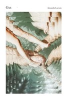 Gut | Amanda Larson | Englisch | Taschenbuch | Kartoniert / Broschiert | 2021