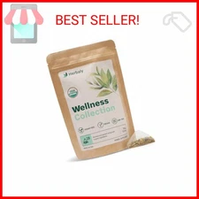 Herbaly Wellness Collection Organic Herbal Ginger Tea, 70 g, 28 Count Bag (Pack 