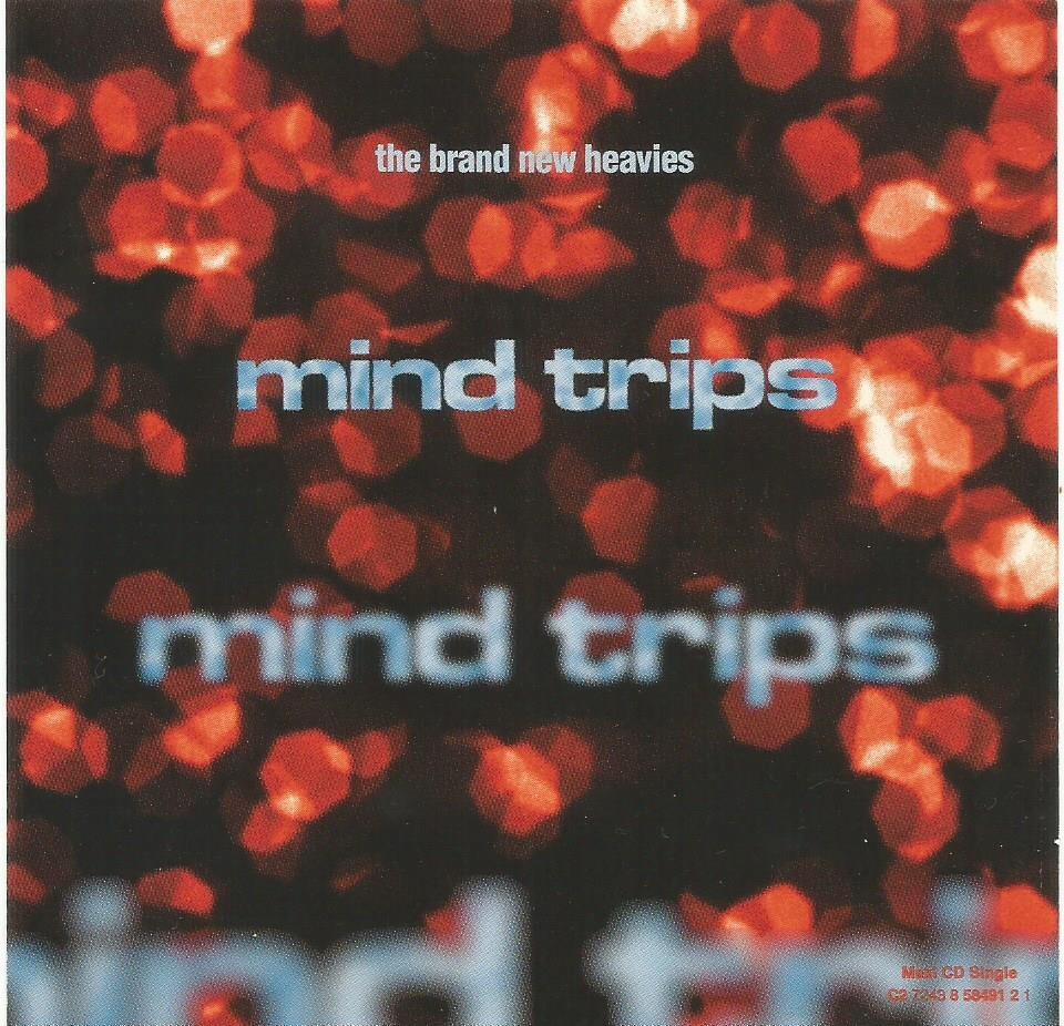 Brand New Heavies - Mind Trips 1995 USA Delicious Vinyl CD Single
