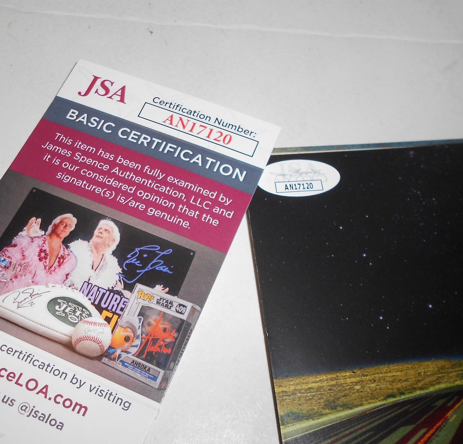 Signed Grace Potter Mother Road CD FRAMED JSA CERT