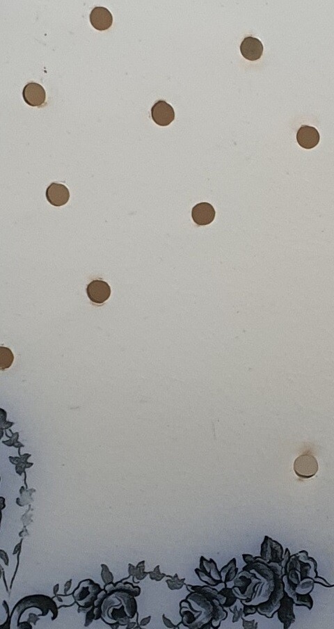 Picture 5 of 5