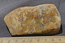 GRAVEYARD POINT PLUME AGATE ROUGH SANDED OPEN BIG NUGGET 122 GRAMS or 4.3 OZ 
