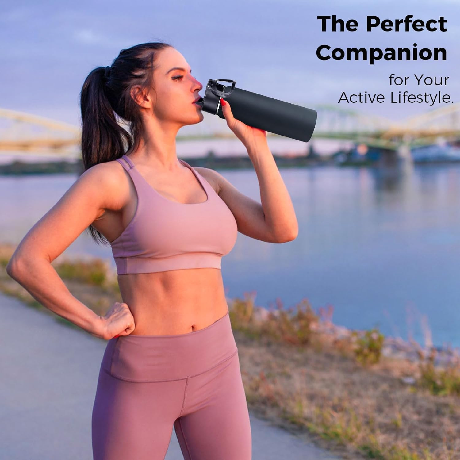 Bulk 22 Oz Insulated Stainless Steel Water Bottles with Straw Lid - 8 Pack
