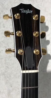 MusicianAtHeart SLOTTED BONE NUT made for some TAYLOR Guitars