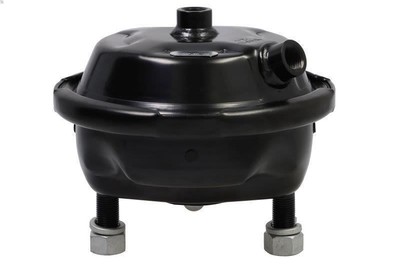Diaphragm Brake Cylinder DT SPARE PARTS 5.70379 for DAF CF 85 12.6 2001-2013