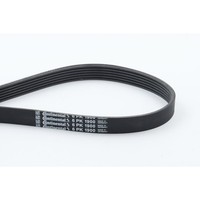 Continental Ctam 6PK1900 Keilrippenriemen