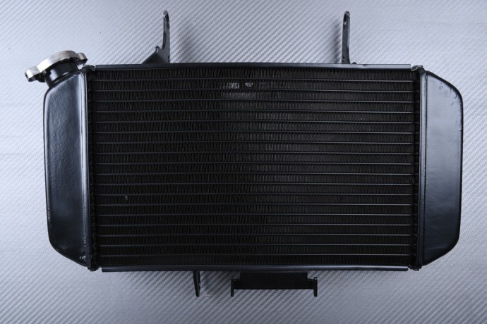 Eviter la surchauffe sur SUZUKI V-STROM 650 avec ce radiateur neuf