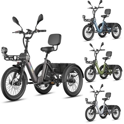 FAFREES F20 MATE II 20 Zoll Elektro Dreirad Klappbar Elektrofahrrad 3-Rad E-Bike