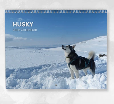 BOYCE PUBLISHING Husky Calendar 2026: Monthly Wall Calendar with Notes, opens to A3