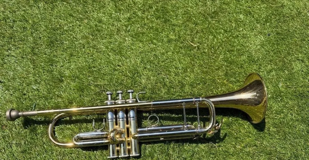 Yamaha Xeno トランペット 本体 Yamaha Xeno Trumpet for sale | eBay