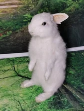 Single-Head White Rabbit Taxidermy – Exquisite Vintage Snow White Rabbit Specime