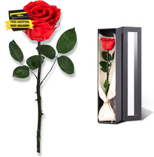 Flowers for Delivery Prime, Preserved Roses Flower Gifts for Women, Real Roses S