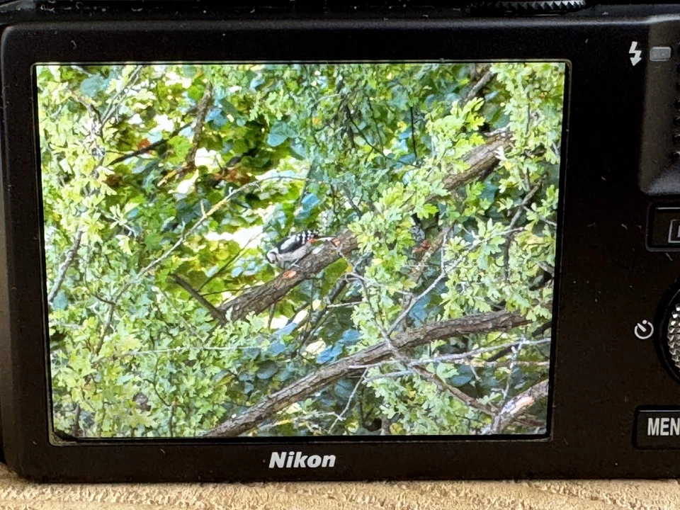 Nikon Coolpix S8100 Digitalkamera Kamera Kompakt Getestet, Top Zustand!  - Bild 4 von 4