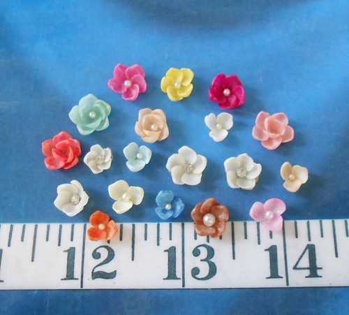 ~ Baby Cup Shells ~ 55+ ~ Bright-Orange Mix ~ Shellcraft ~ Sailor's Valentines ~ - Picture 4 of 4