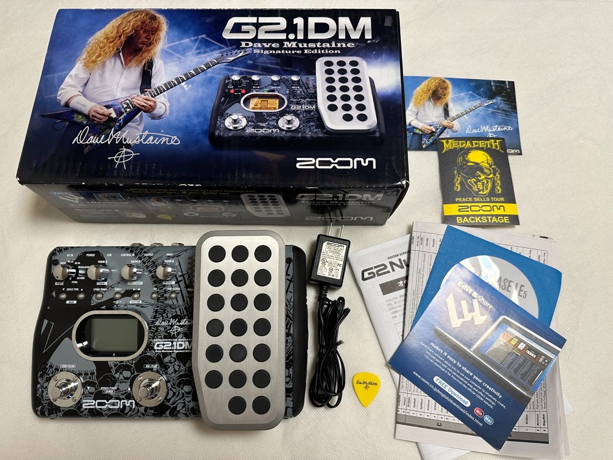 ZOOM G2.1DM