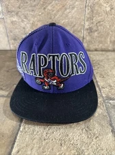 Mitchell & Ness Hardwood Classics Toronto Raptors Purple Black Snapback Hat E2A