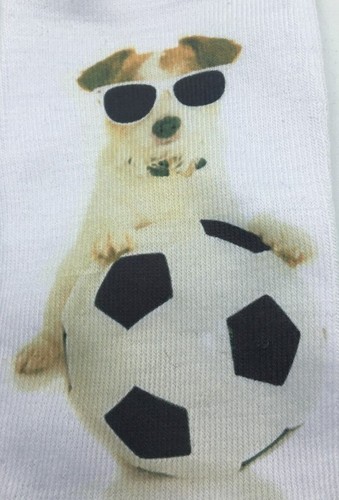 Girl Teen Socks Dog Sunglasses Soccer Ball Whimsical Read Size New Free Shipping - Picture 3 of 4