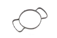 Engine Water Pump Seal