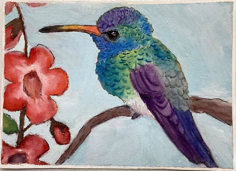 ACEO Original Hummingbird Birds Garden Nature Wildlife ACT 3.5x2.5 inches rmj096