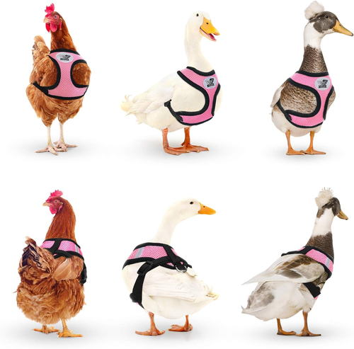 Adjustable Chicken Harness with Leash Small Pet Harness for Duck Goose Hen Trani - Picture 6 of 7
