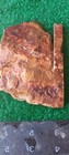 Rough End Cut Dead Camel Jasper 173g. 5/1_" Thick Lapidary Cabbing #A-6 — photo 4
