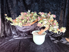 Vintage Chinese Jade Glass Flowering Bonsai Tree in a Celadon Pot Large 22x12