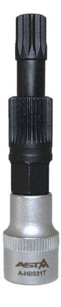 Lichtmaschine SchlüSsel Freilauf SteckschlüSsel XZN Vielzahn Nuss M10 31T 3/8-image