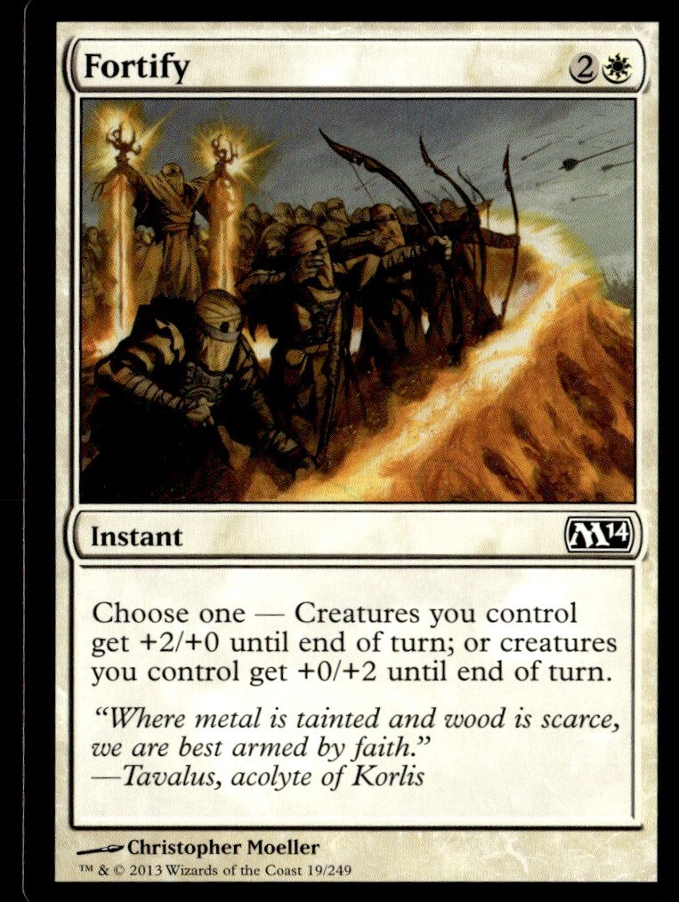 2013 Magic 2014 Fortify Core/Common #19