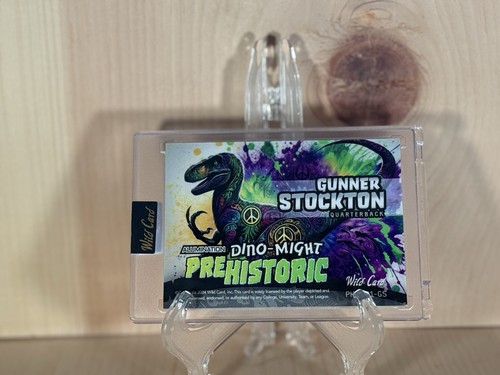 Gunnar Stockton 2024 Wild Card Dino Might 1/18 - Picture 11 of 11
