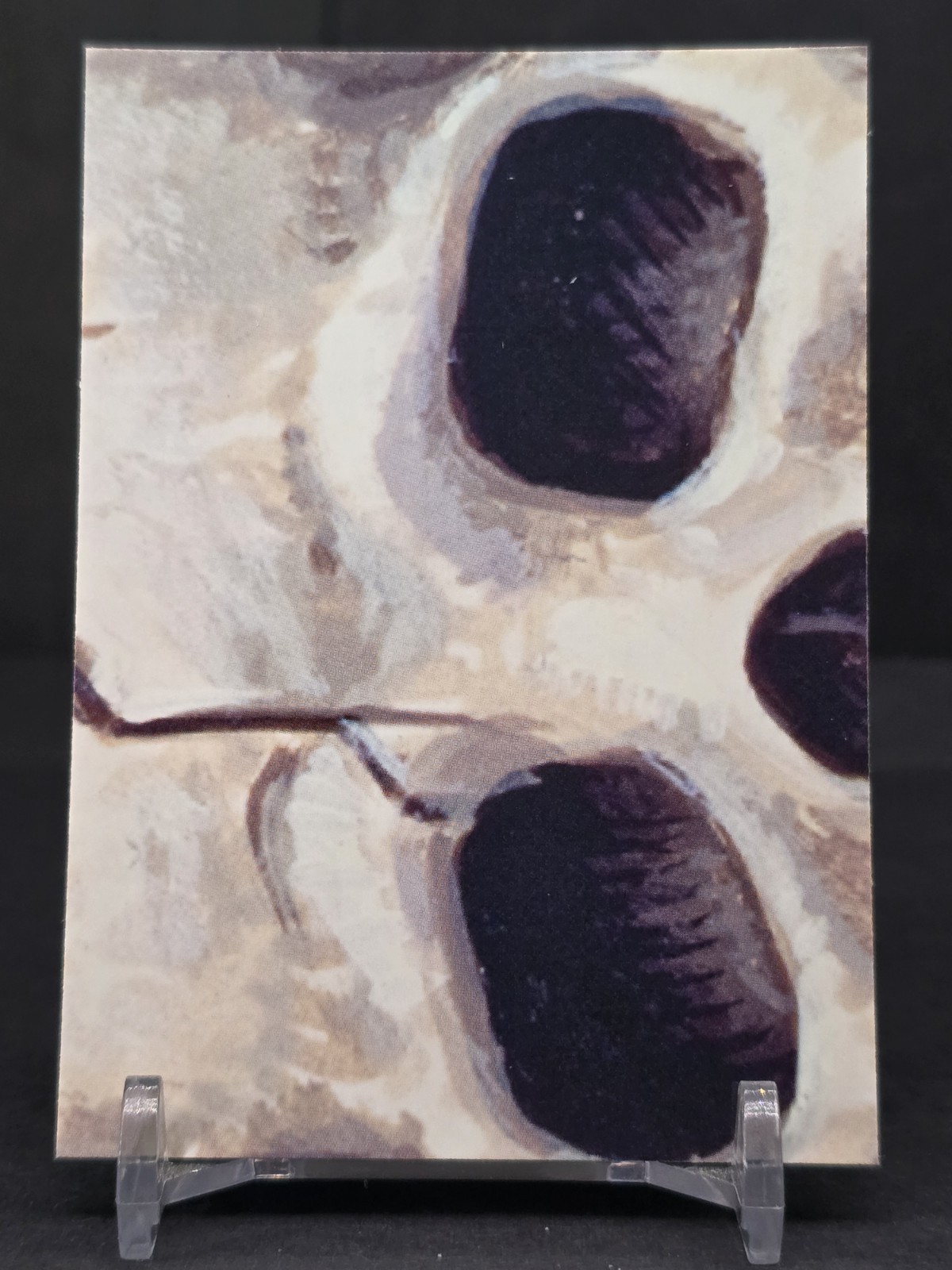 Foto 2 di 2