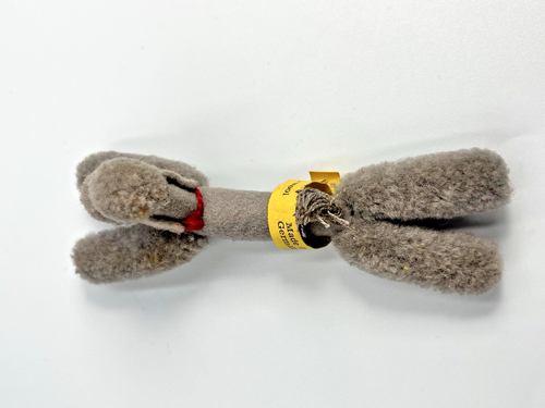 Mini peluche STEIFF laine caniche gris 1506, 46 muffies animal Bild Lilli allemande avec étiquette - Photo 13 sur 20