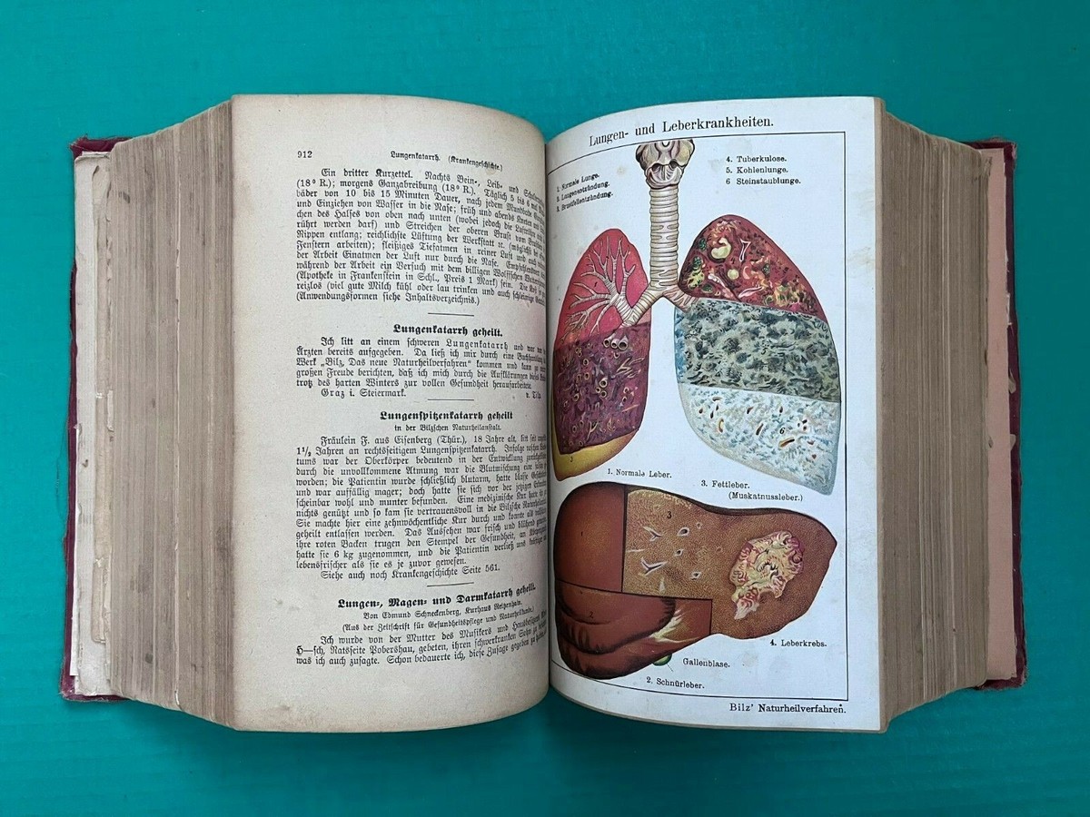 Das Neue Naturheilverfahren (1902) By F. E. Bilz w/ Body Das Neue Naturheilverfahren (1902) By F. E. Bilz w/ Body