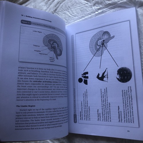 Culturally Responsive Teaching & the Brain: Promoting Authentic Engag…Pre-Owned - Picture 13 of 24