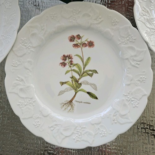 Set 4 Dansk Floral Botanical 9-3/4" Luncheon Plates Ivy Rims Vtg France - Picture 5 of 9
