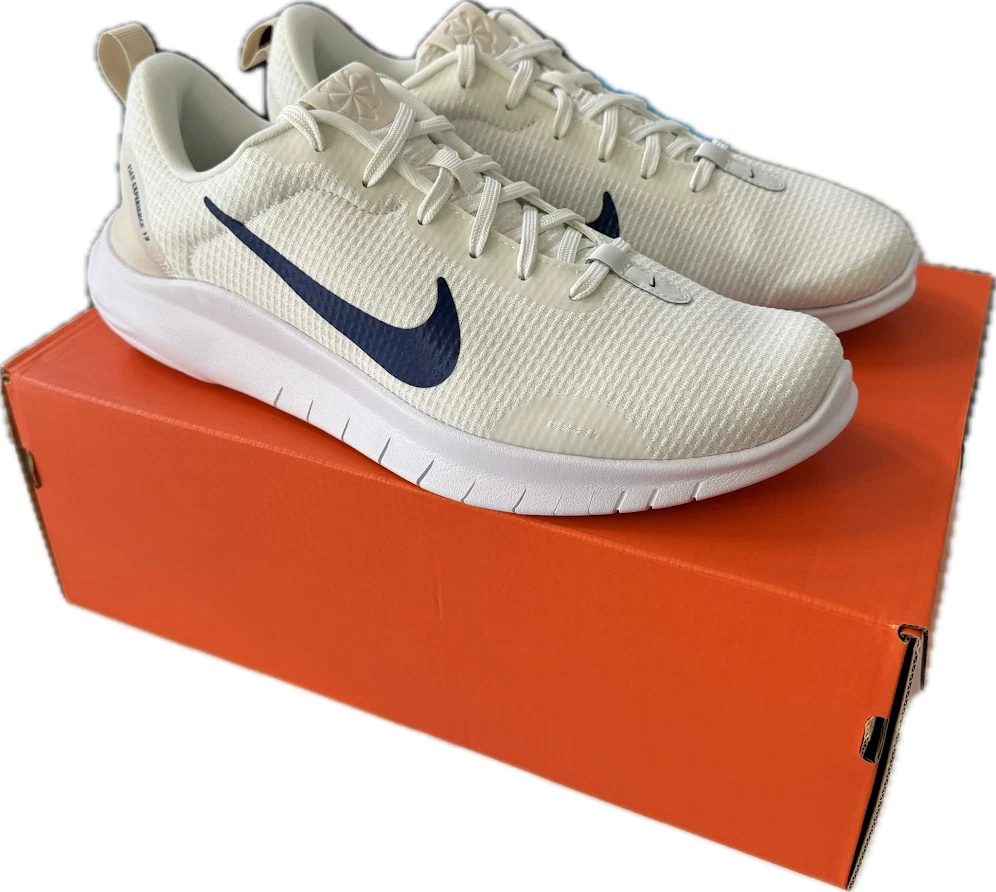 Nike Men's Flex Experience RN 12 Sail Blue Running Shoes DV0740-103