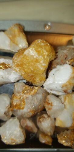 JAMESTOWN MINE GOLD QUARZ EXEMPLAR ***60 GRAMM*** KALIFORNIEN GOLD UND QUARZ - Bild 4 von 19