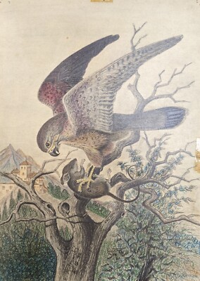Helmut Piotrowski, Greifvogel mit Maus in den Klauen, Zeichnung, sign., 1932