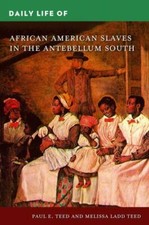 Daily Life of African American Slaves in the ...