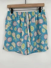 Chubbies Swim Trunks Shorts Mens Small Allover Pineapple Fruit Print 5.5” Lined